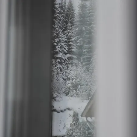 Ramondia, 3* Kopaonik